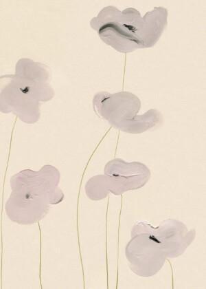 Paper Collective White Vallmo taidejuliste