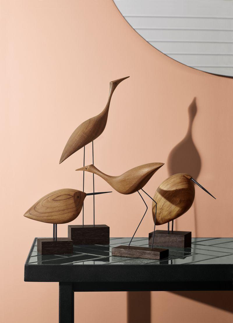 Warm Nordic Beak Bird Awake Snipe miljoo